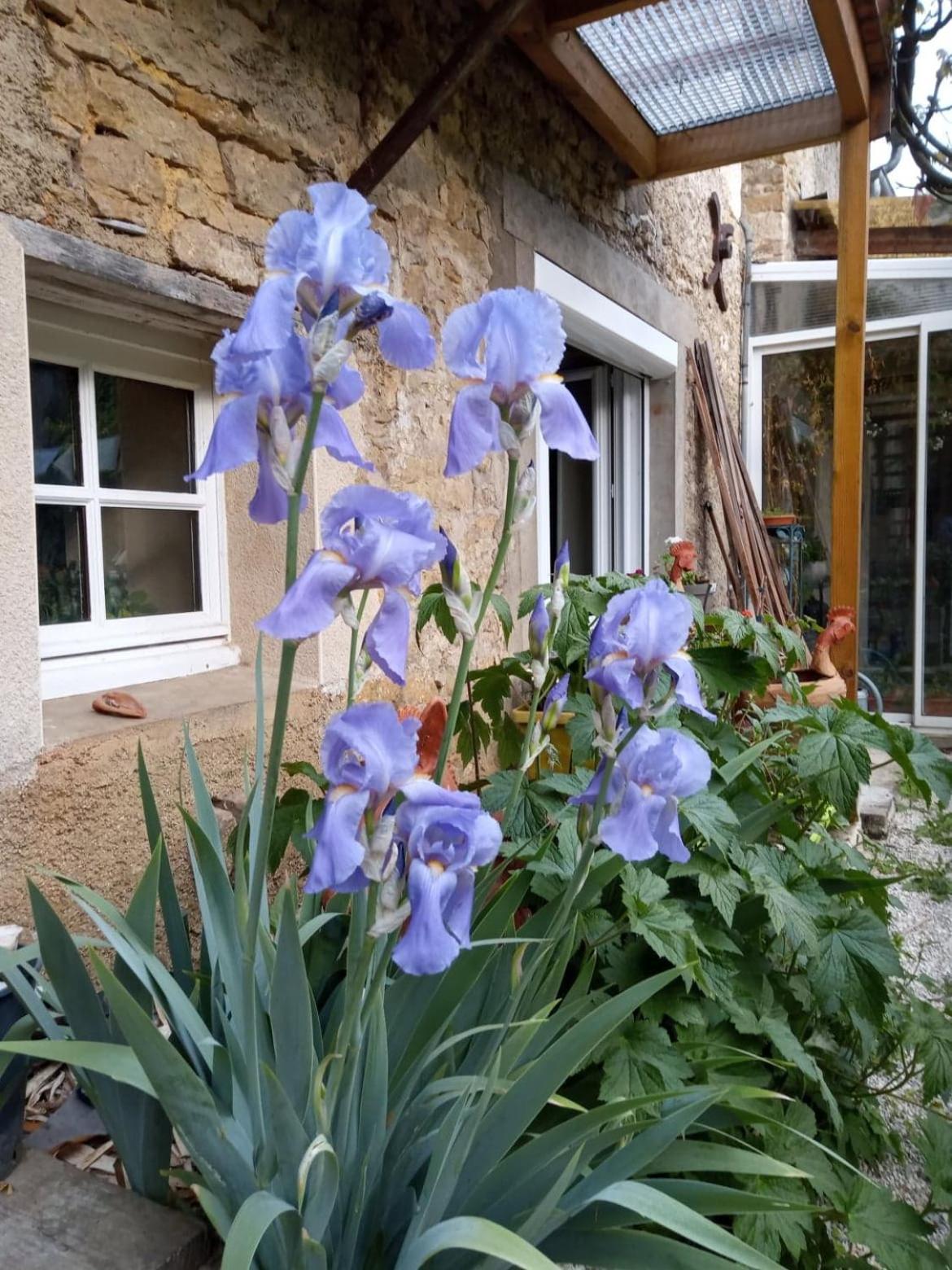 Gite Meuble 6 Personnes 2 Etoiles Haute Cote D'Or Proche Des Merveilles Touristiques Saint-Marc-sur-Seine Exterior foto