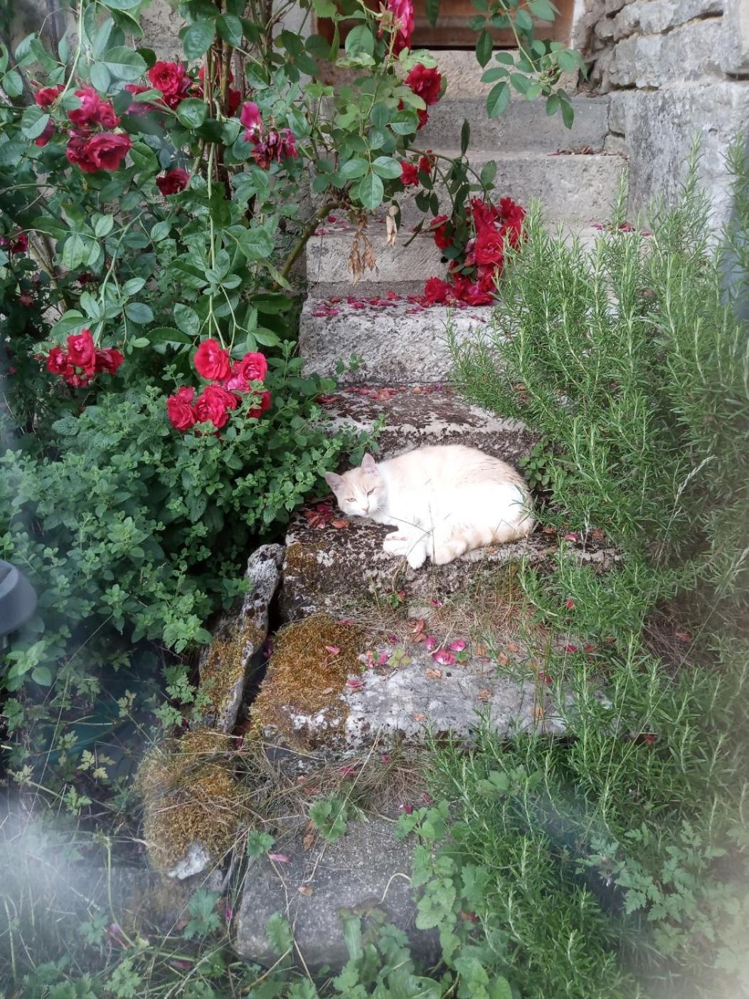 Gite Meuble 6 Personnes 2 Etoiles Haute Cote D'Or Proche Des Merveilles Touristiques Saint-Marc-sur-Seine Exterior foto